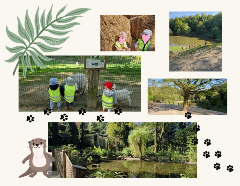 Wildpark Schwarze Berge 2024